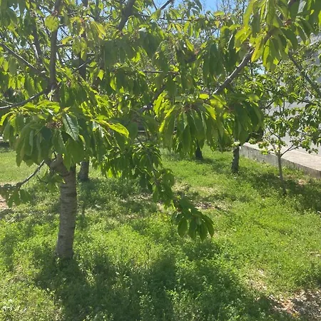 Evas Place Rudine (Kastela)